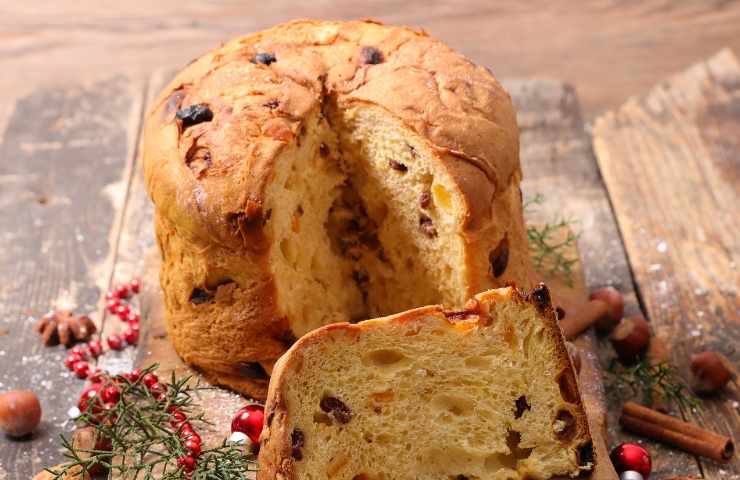 panettone